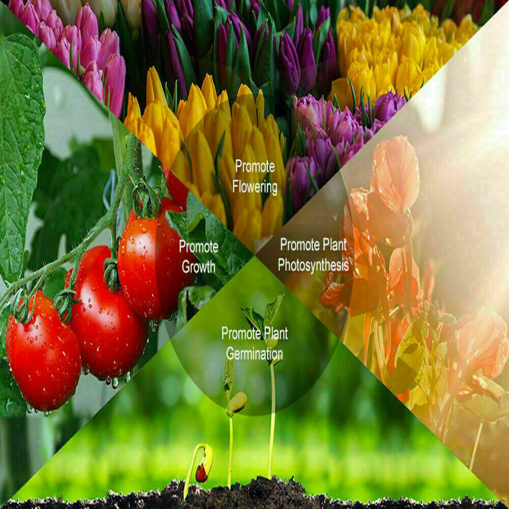4 Head 80 LED Grow Light Growing Veg Flower Indoor Clip 40W Plant Lamp