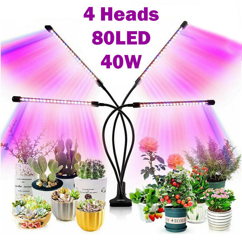 4 Head 80 LED Grow Light Growing Veg Flower Indoor Clip 40W Plant Lamp