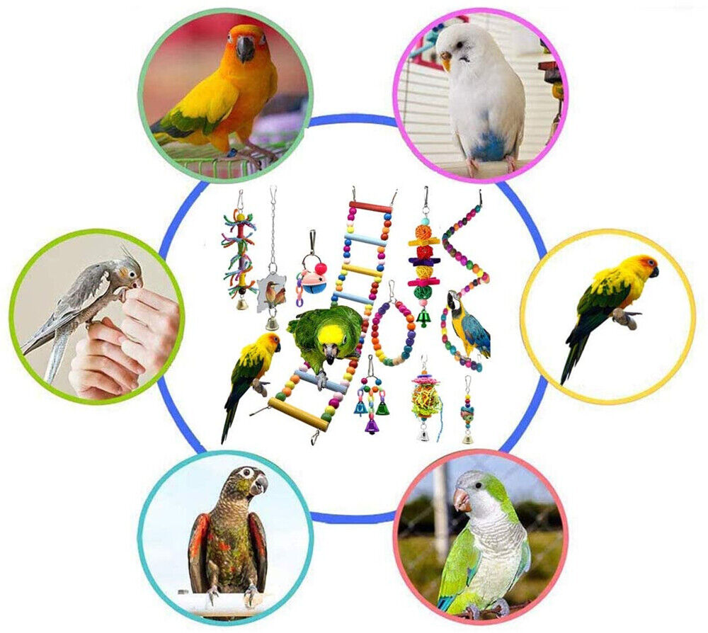 10X Pet Colorful Parrot Bird Rope Cage Perch Bungee Hanging Swing Ladder Toys AU
