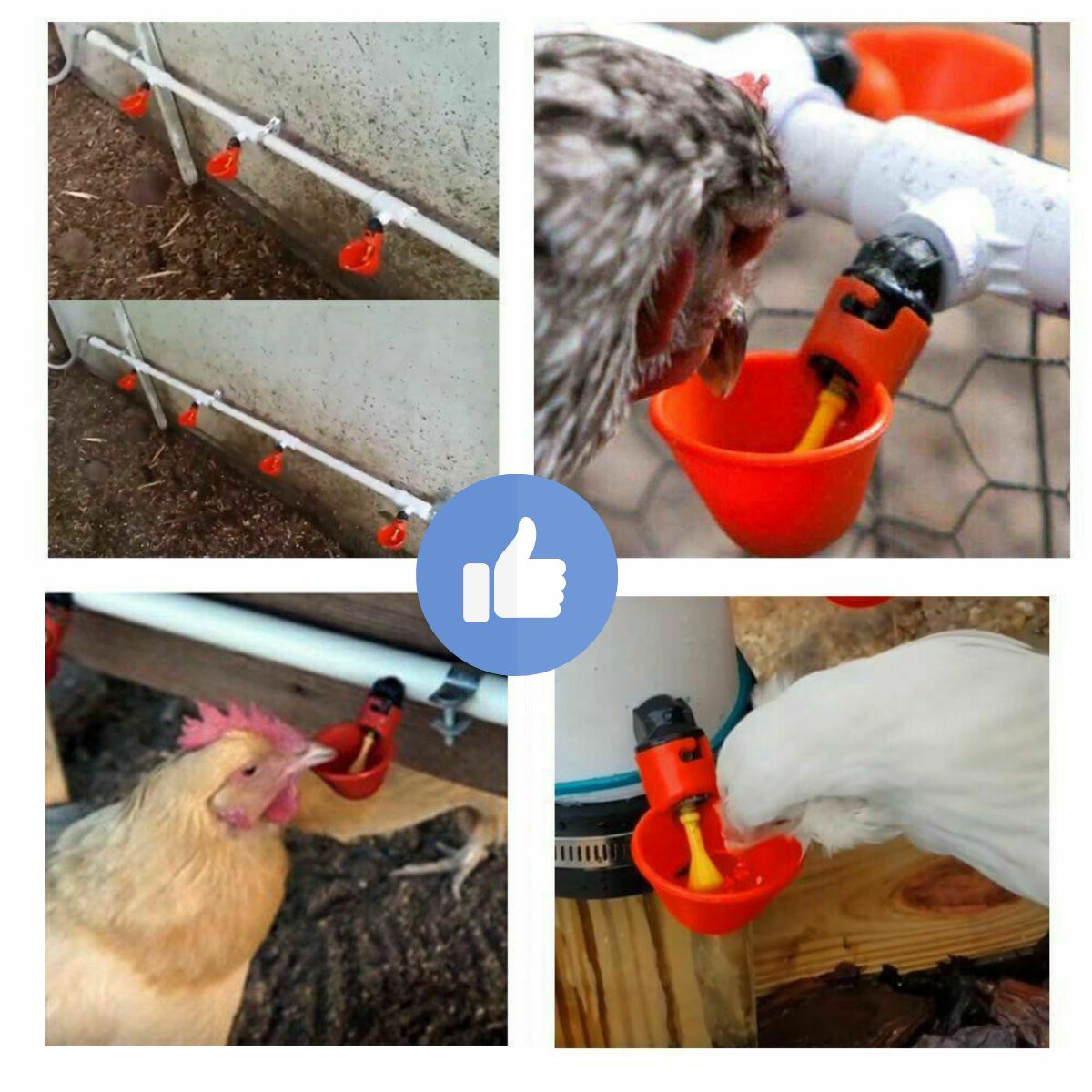 Automatic Chicken Water Cup Waterer Poultry Drinking Bowl Feeder Drinker