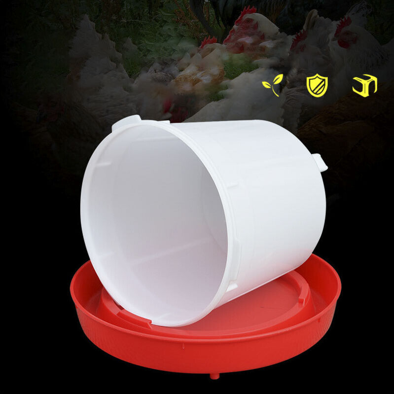 Automatic Chicken Bird Chook Poultry Feeder Drinker Chicken Poultry Waterer