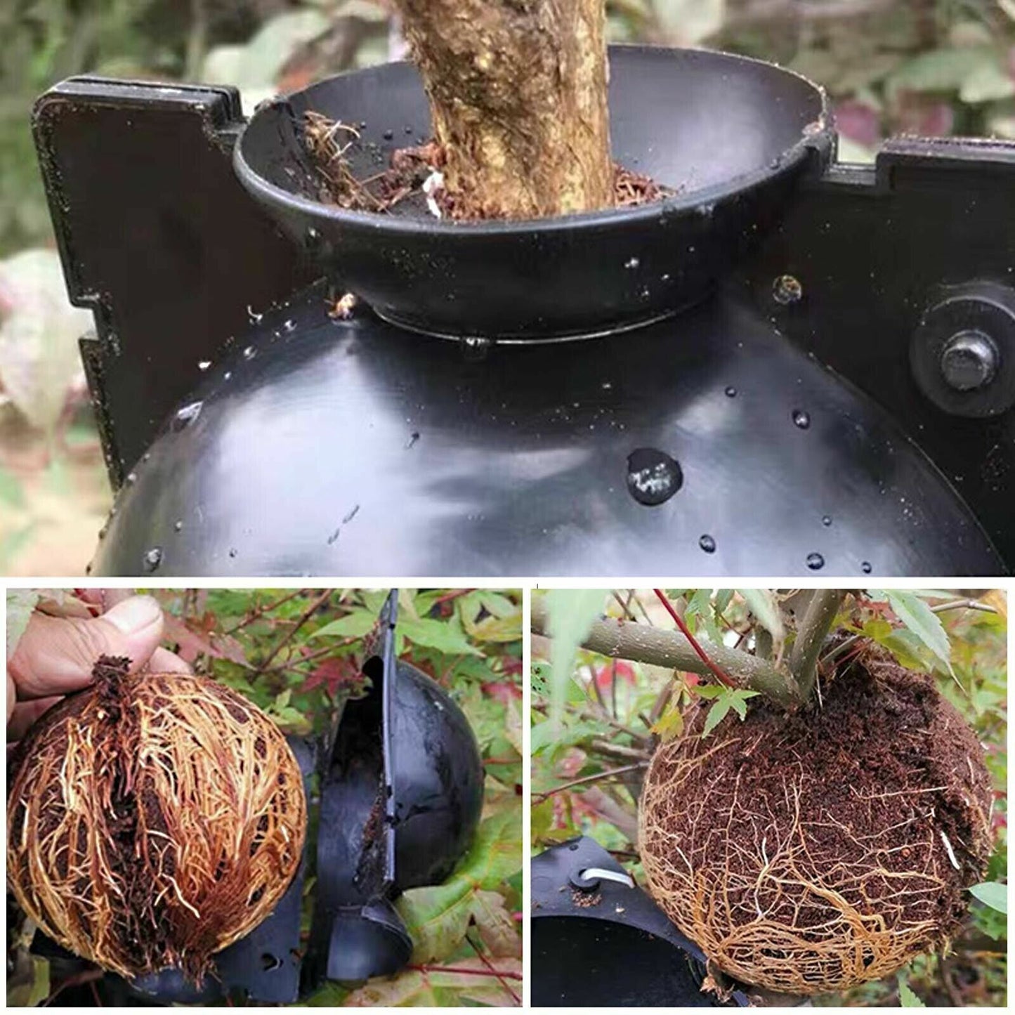 Plant Rooting Device High Pressure Propagation Ball Root Grow Grafting Box