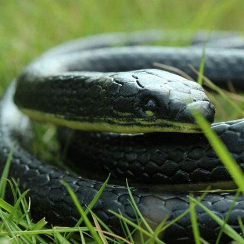 1.3M Rubber Snakes Realistic Trick Simulation Whimsy Fake Garden Pretend Toy AU
