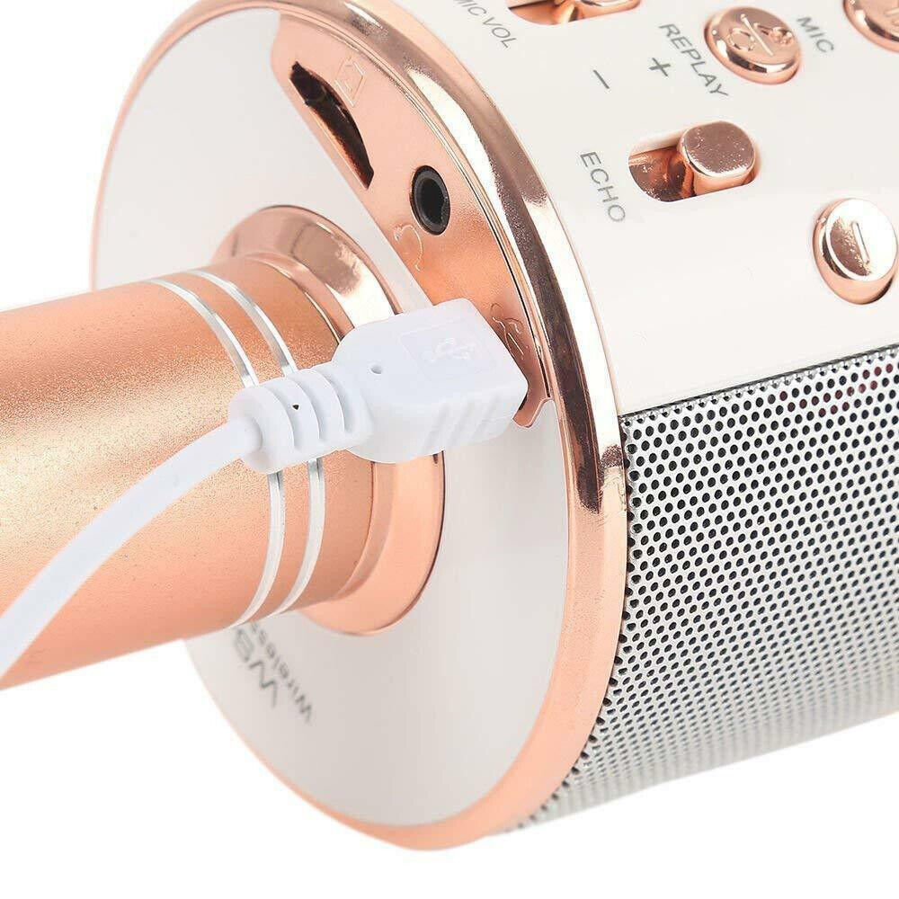 Karaoke Microphone Speaker Wireless Bluetooth Handheld Mic USB Player KTV WS858