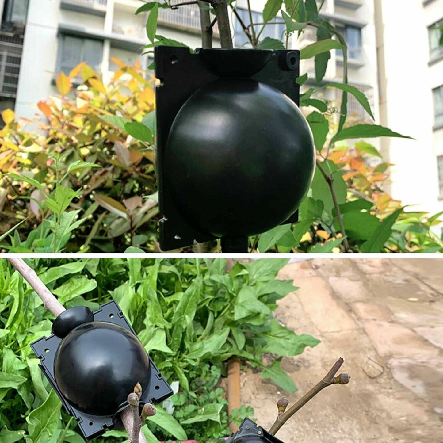 Plant Rooting Device High Pressure Propagation Ball Root Grow Grafting Box