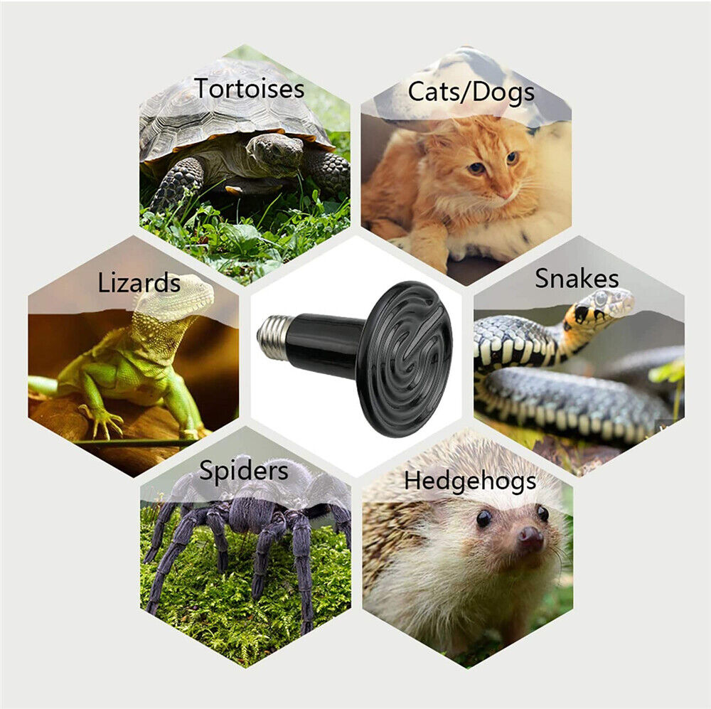 Infrared Ceramic Heat Lamp Bulb Reptile Pet Chicken Snake Brooder Home Incubator