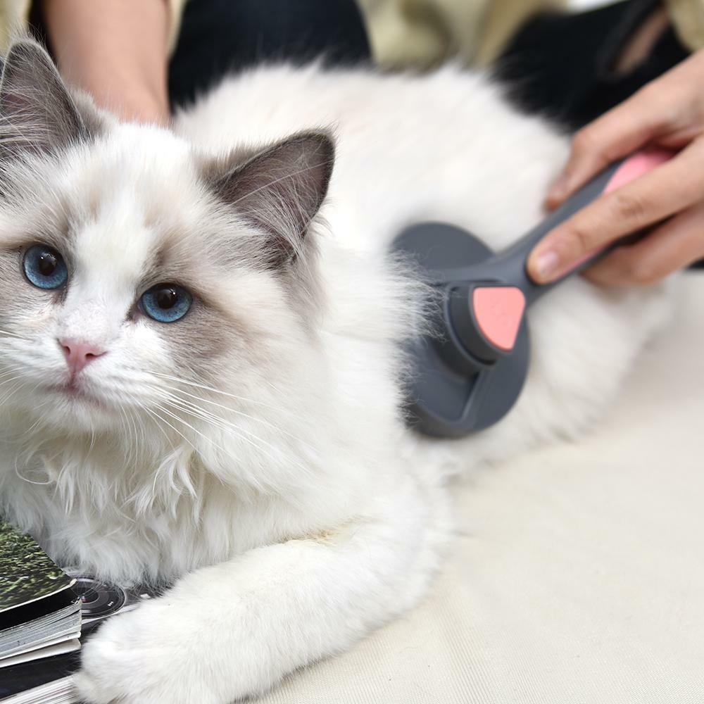 1x Pet Grooming Brush Self Cleaning Automatically Dog Cat Slicker Brush Remove