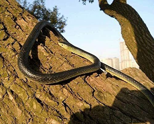 1.3M Rubber Snakes Realistic Trick Simulation Whimsy Fake Garden Pretend Toy AU