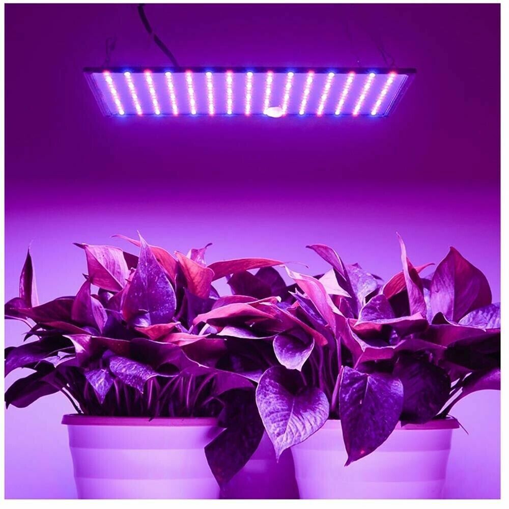 225LED 2000W Grow Light Hydroponic Kits Growing Plant Veg Flower Indoor Lamp AU