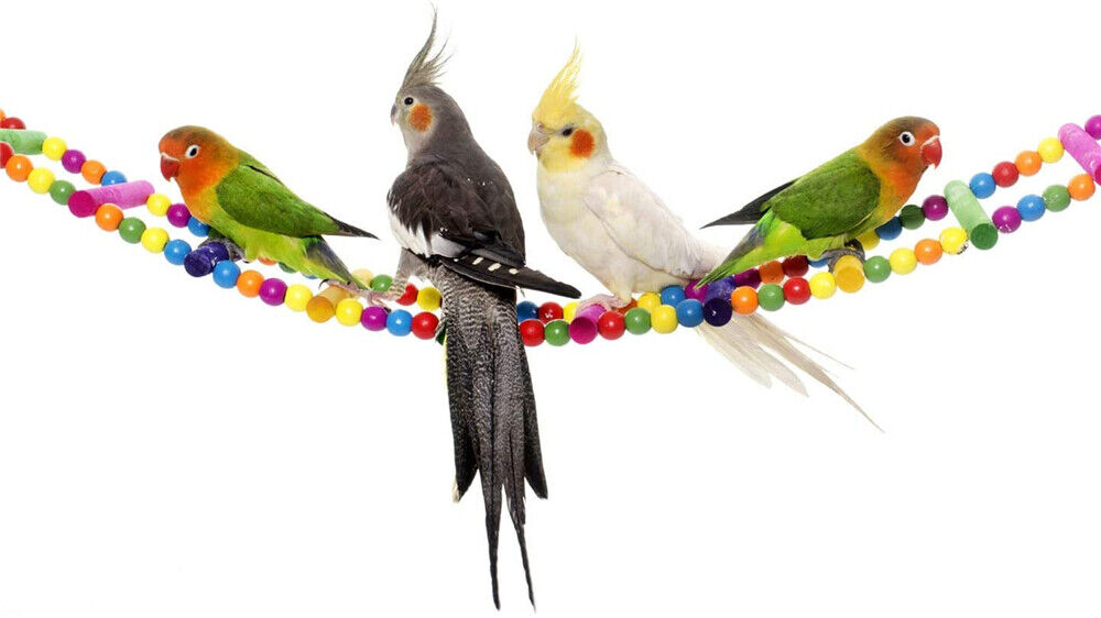 10X Pet Colorful Parrot Bird Rope Cage Perch Bungee Hanging Swing Ladder Toys AU
