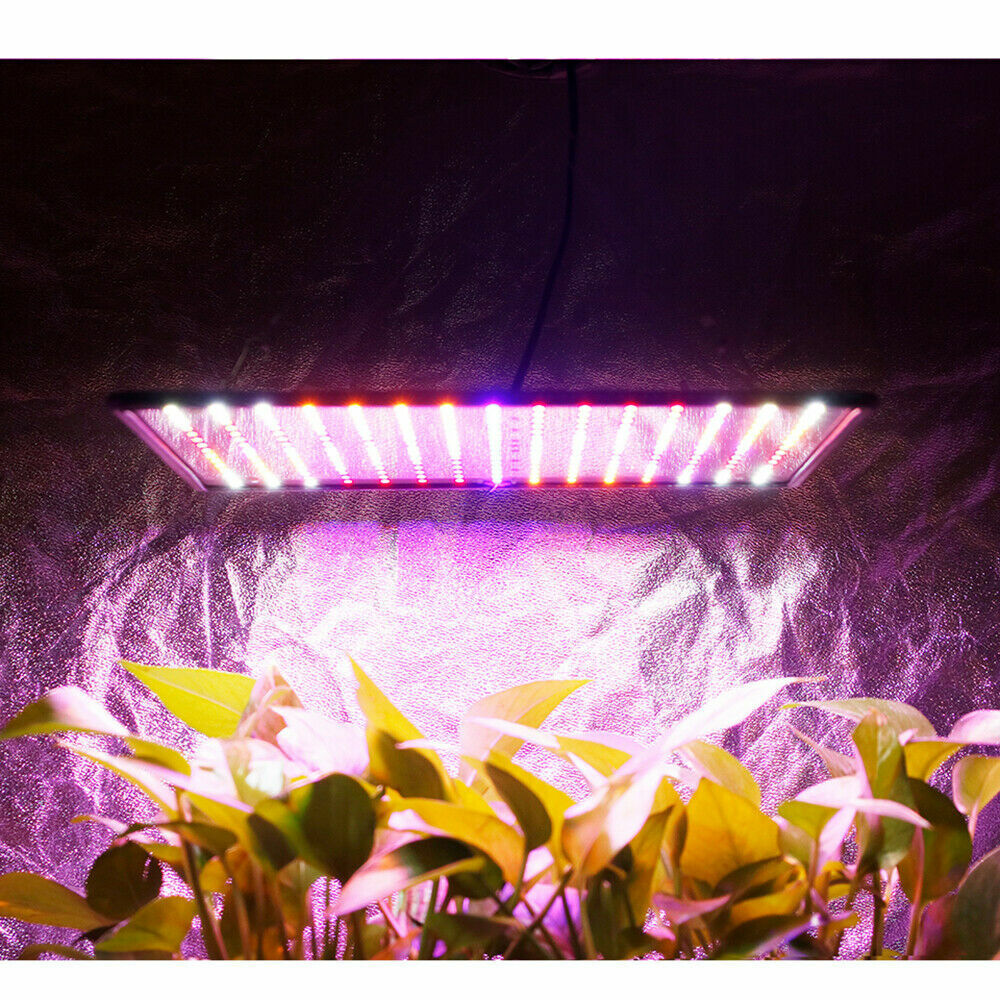 225LED 2000W Grow Light Hydroponic Kits Growing Plant Veg Flower Indoor Lamp AU