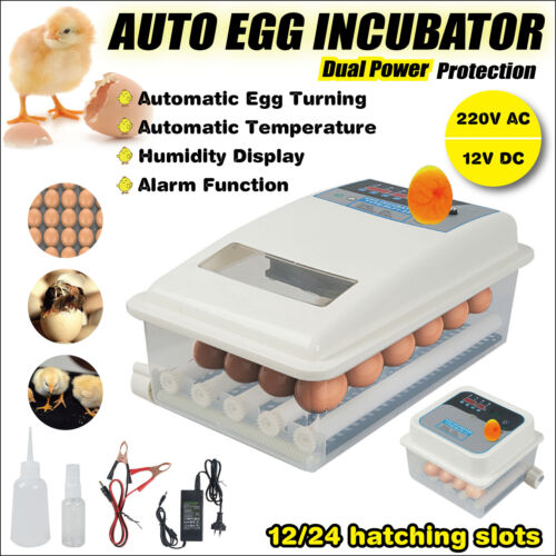12/24 Egg Incubator Fully Automatic Digital Led Turning Chicken Eggs Poultry