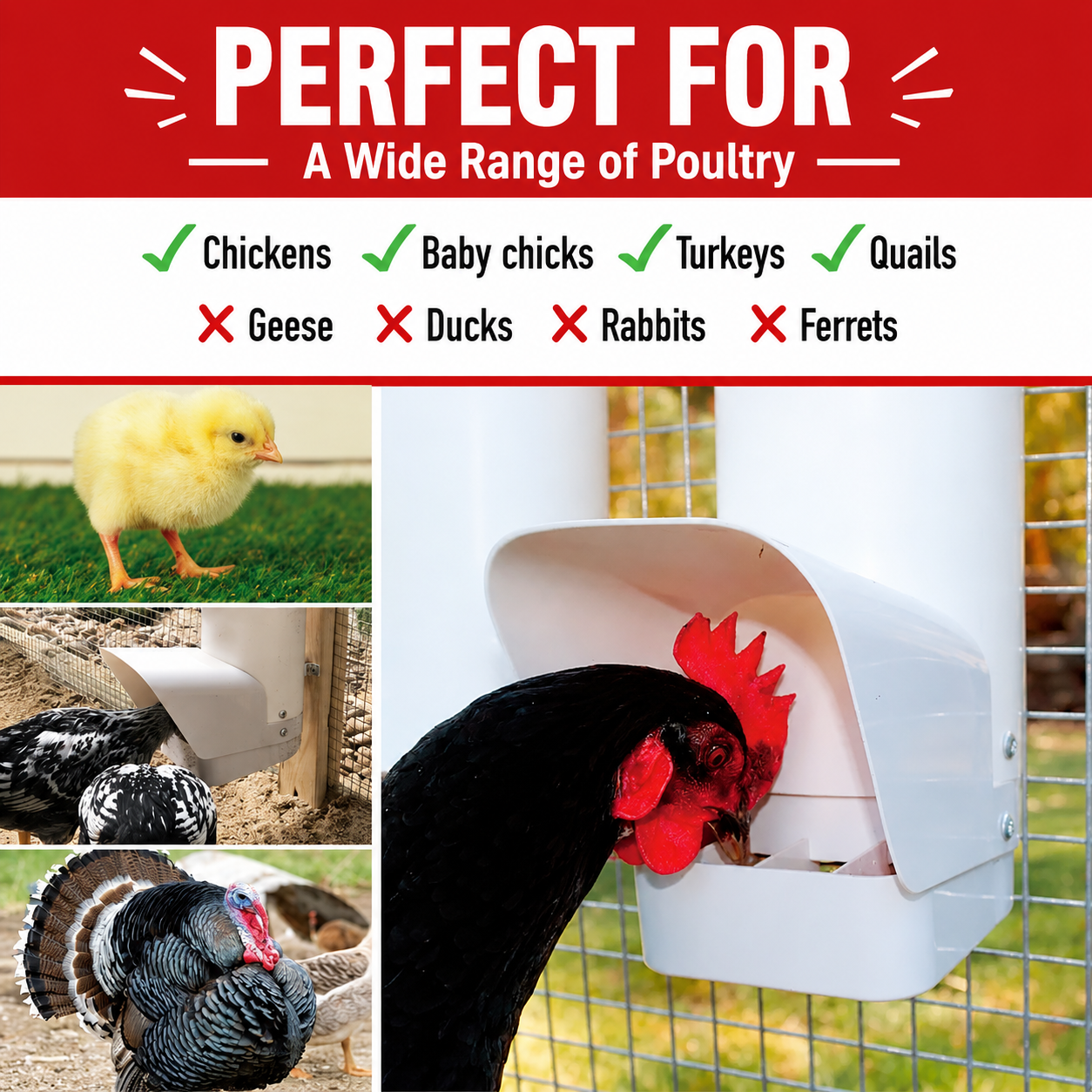 Automatic Poultry Feeder & Water Drinker Set Chicken Coop 3KG 4L