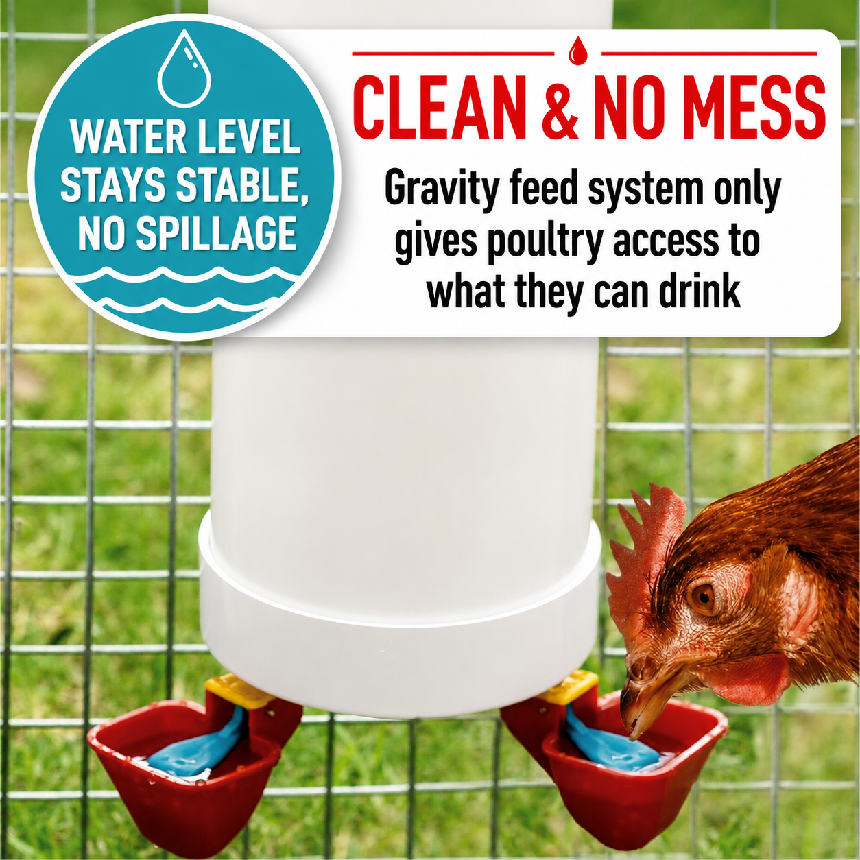 Automatic Poultry Feeder & Water Drinker Set Chicken Coop 3KG 4L