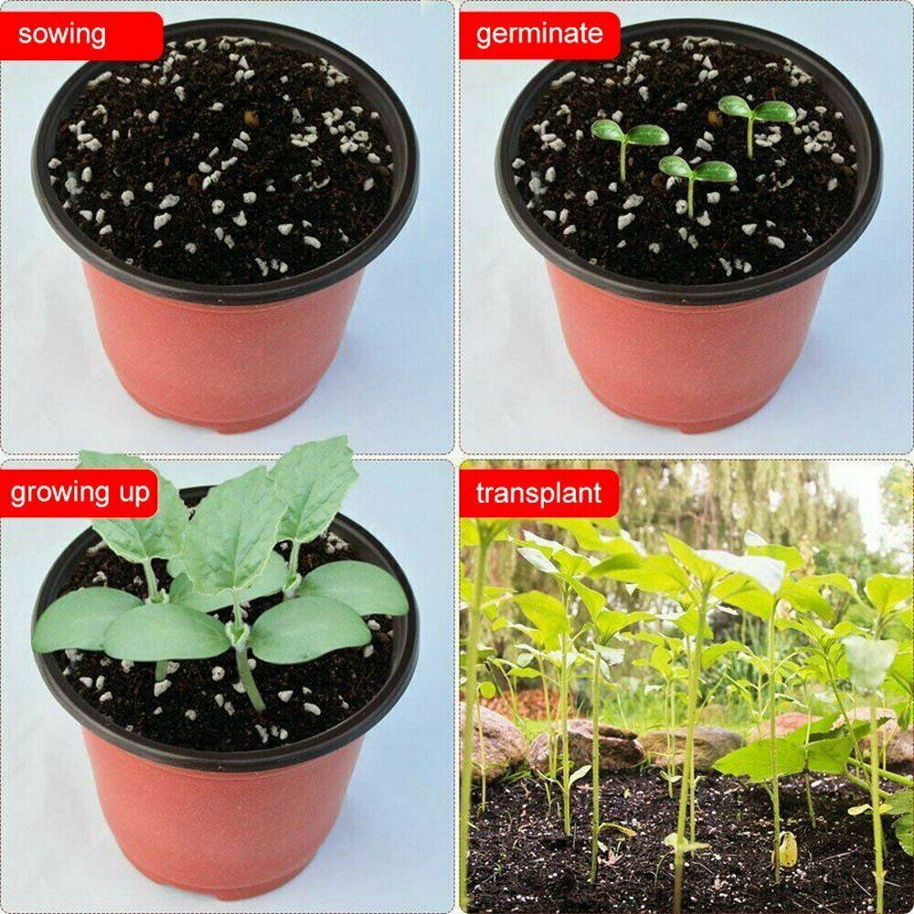 100 PCS Plastic Plant Flower Pots 4 sizes Nursery Seedlings Container Flowerpot