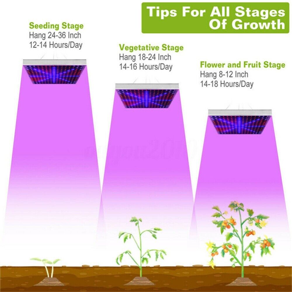 225LED 2000W Grow Light Hydroponic Kits Growing Plant Veg Flower Indoor Lamp AU