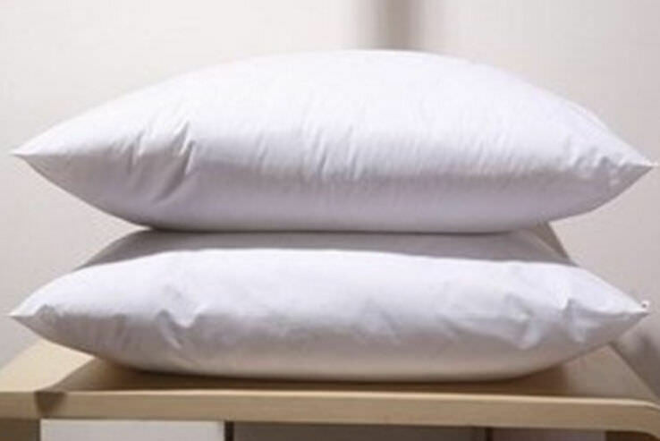 2X 45x45cm Pillow Memory Resilient Cushion Inserts Polyester Filling