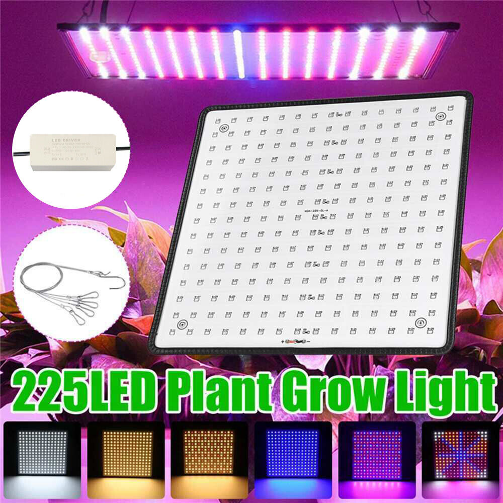 225LED 2000W Grow Light Hydroponic Kits Growing Plant Veg Flower Indoor Lamp AU