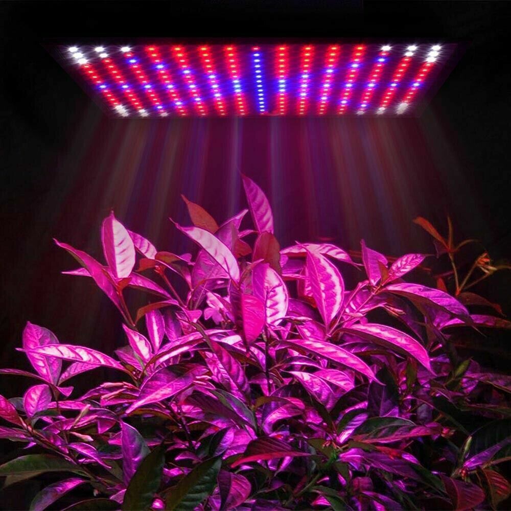 225LED 2000W Grow Light Hydroponic Kits Growing Plant Veg Flower Indoor Lamp AU