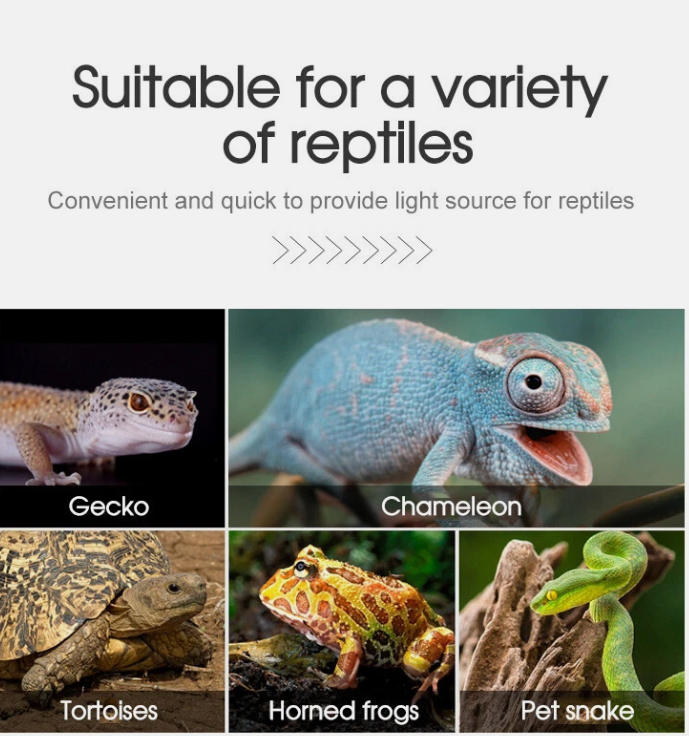 Reptile Ceramic Heat Lamp Bulb Holder Cage Light Snake Chicken Brooder Switch AU