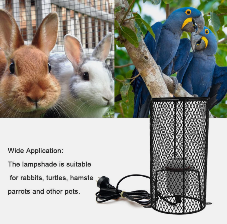 Reptile Ceramic Heat Lamp Bulb Holder Cage Light Snake Chicken Brooder Switch AU