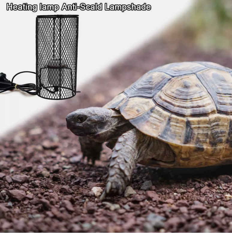 Reptile Ceramic Heat Lamp Bulb Holder Cage Light Snake Chicken Brooder Switch AU