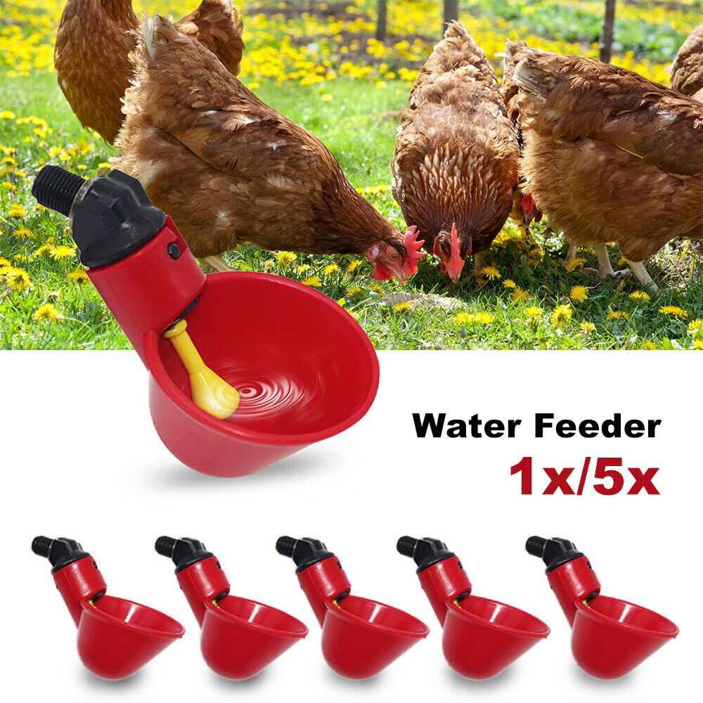 Automatic Cups Chicken Waterer Poultry Water Feeder Drinker Chook Bird