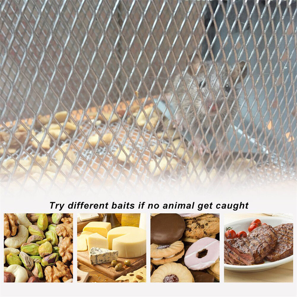 Humane Rat Mice Trap Cage Animal Pest Rodent Mouse Control Live Bait Catcher AU