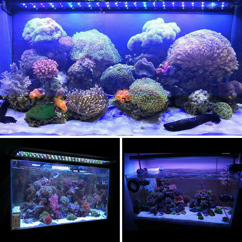 60 /90cm Aquarium Light Lighting Full Spectrum Aqua Plant Fish Tank Bar LED Lamp