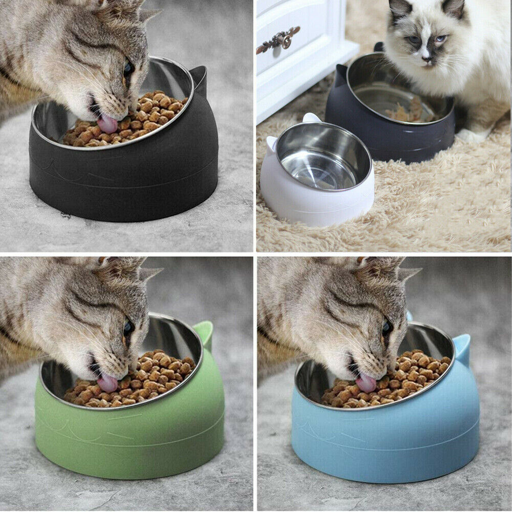 200ml Pet Cat Dog Bowl Tilted Food Water Feeder No Slip Raised Stainless Steel