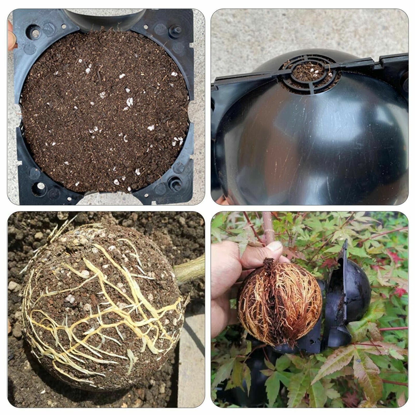 Plant Rooting Device High Pressure Propagation Ball Root Grow Grafting Box