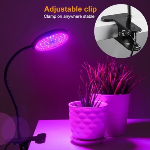 USB LED Grow Light Dimming Indoor Plant Flower Veg Hydroponic UV Growing Lamp AU