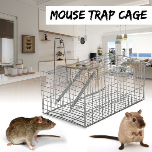 Humane Rat Mice Trap Cage Animal Pest Rodent Mouse Control Live Bait Catcher AU